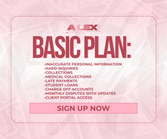 Basic Plan