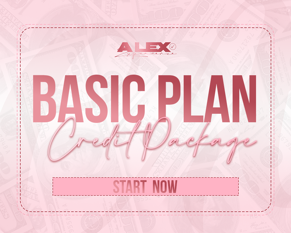 Basic Plan